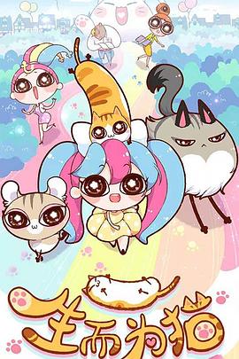 上海seo优化教程